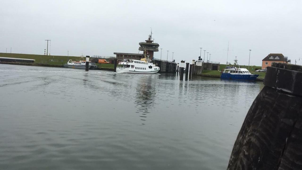 Haus Tertius - Strand- Und Hafennahe Ruhige Ferienwohnung Büsum Eksteriør billede